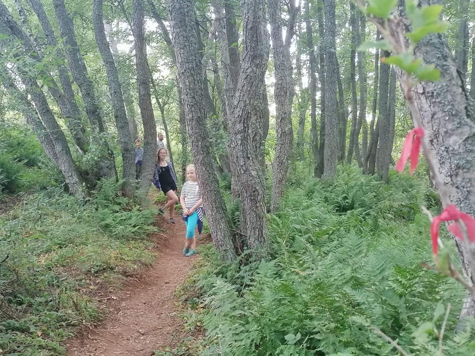 img 9