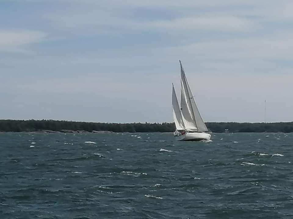 img 1