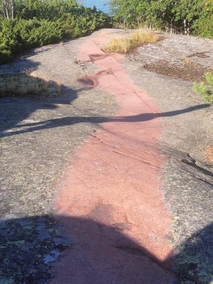 img 2