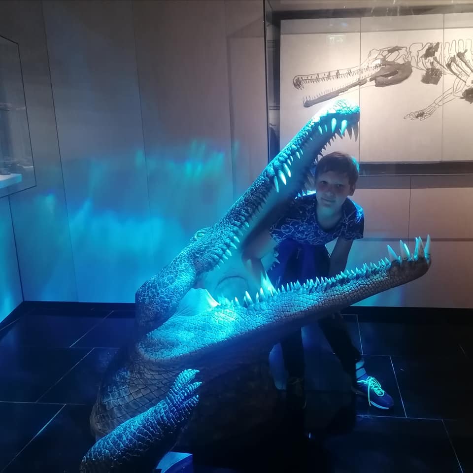 img 3