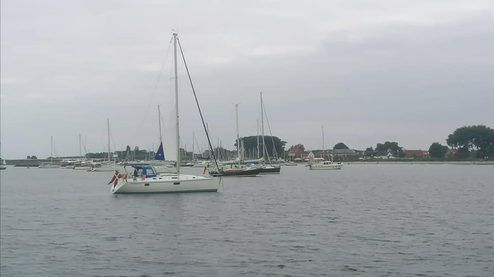 img 5