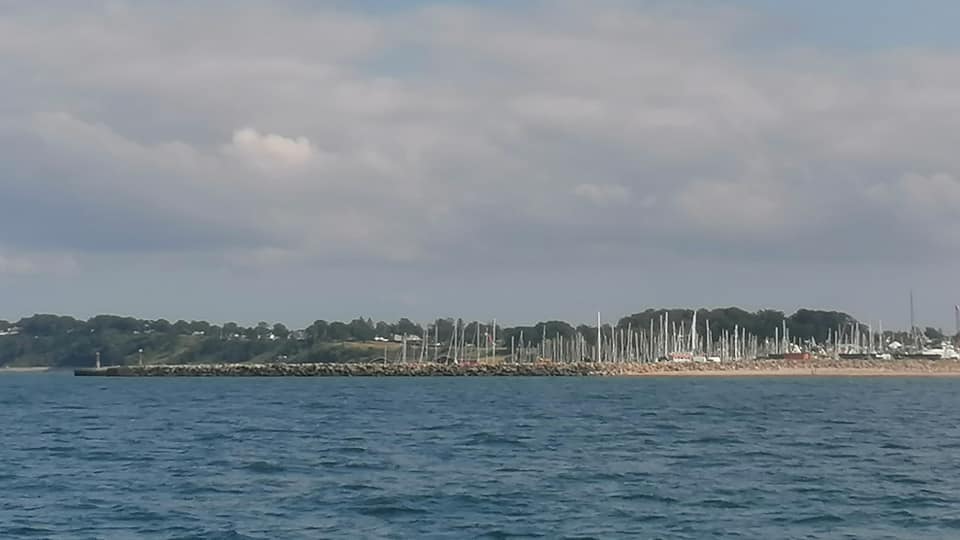 img 3