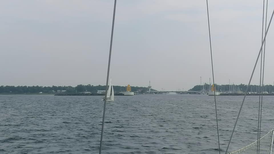 img 3