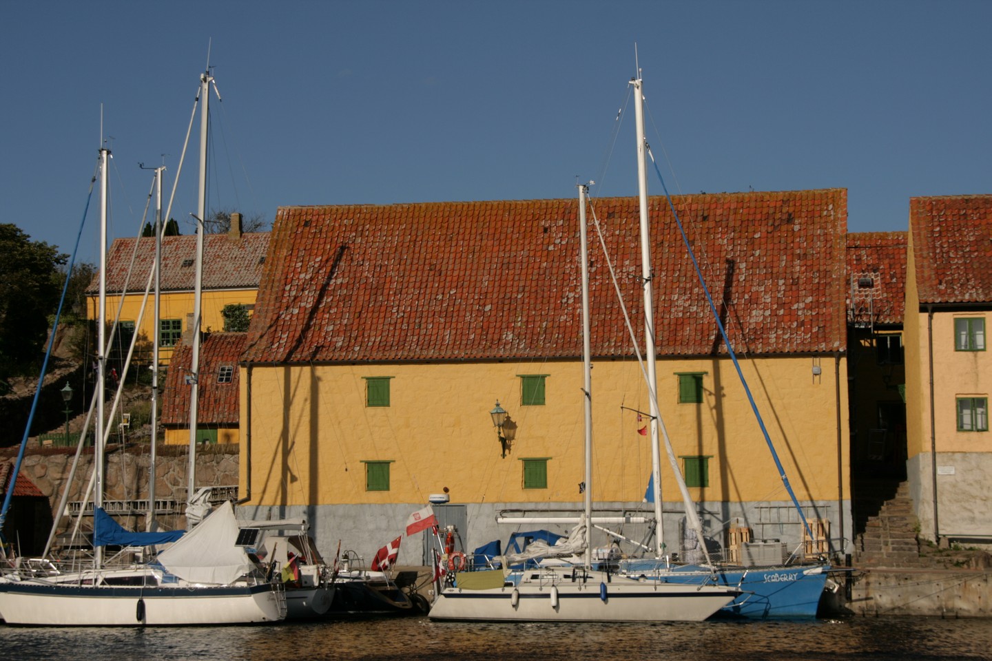img 6
