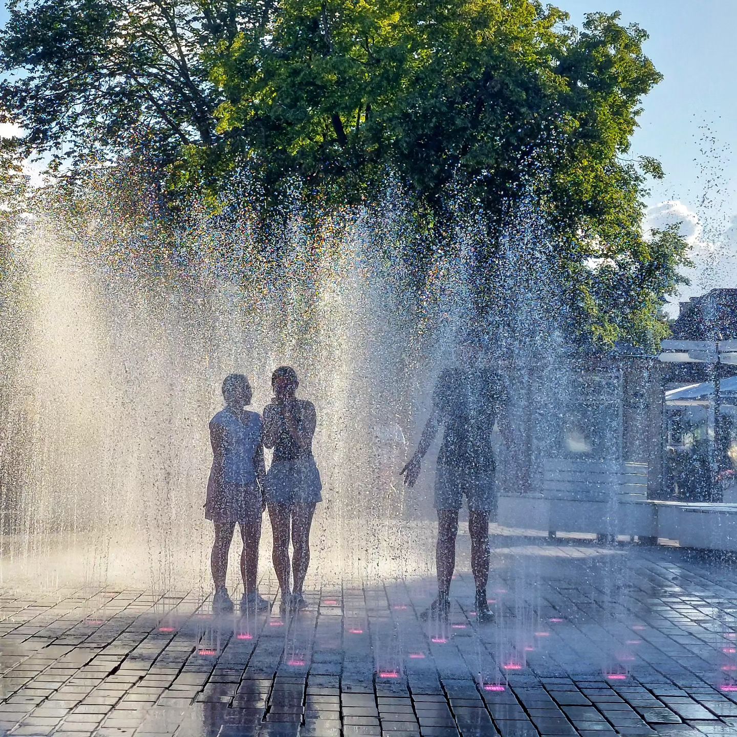 img 6