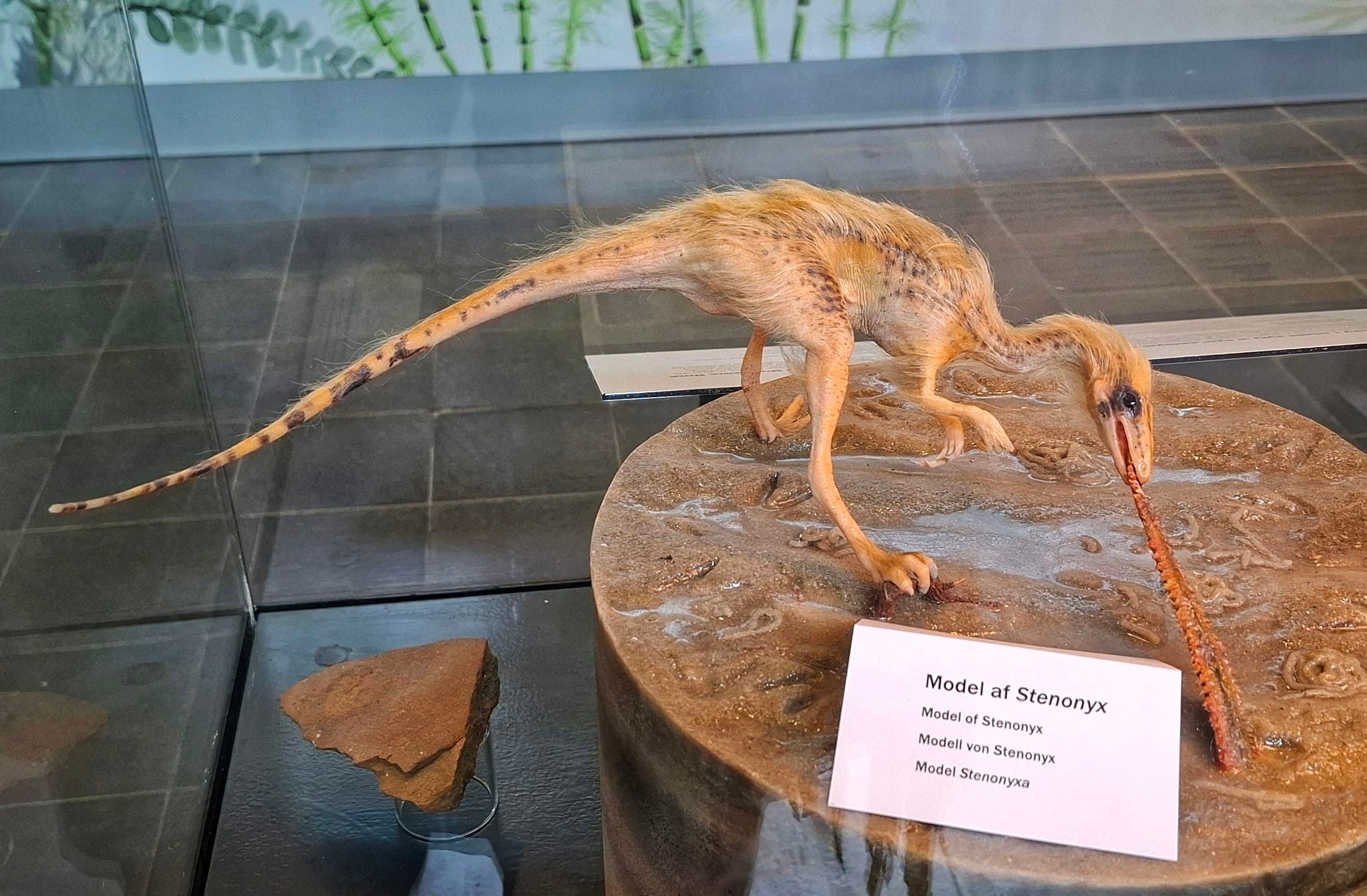 img 5